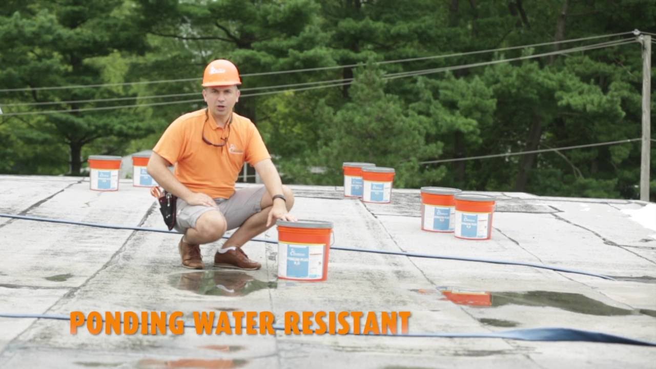 WINKLER   Wingum Plus H2O -  COMPLETE APPLICATION TUTORIAL - FULL VERSION