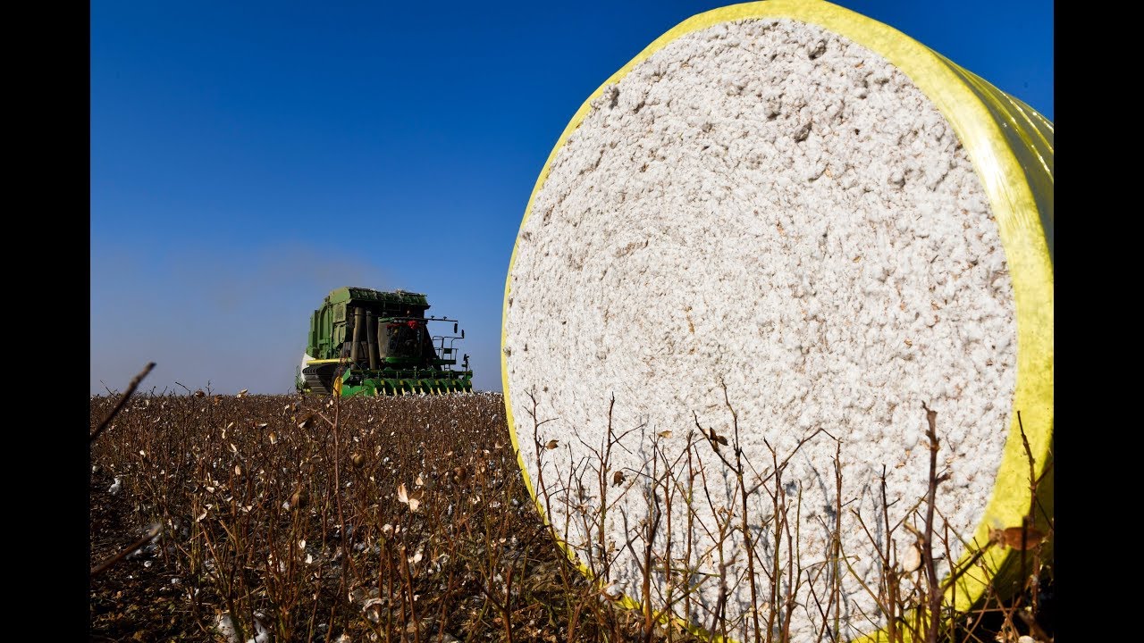 U.S. harvester packs up cotton into round modules