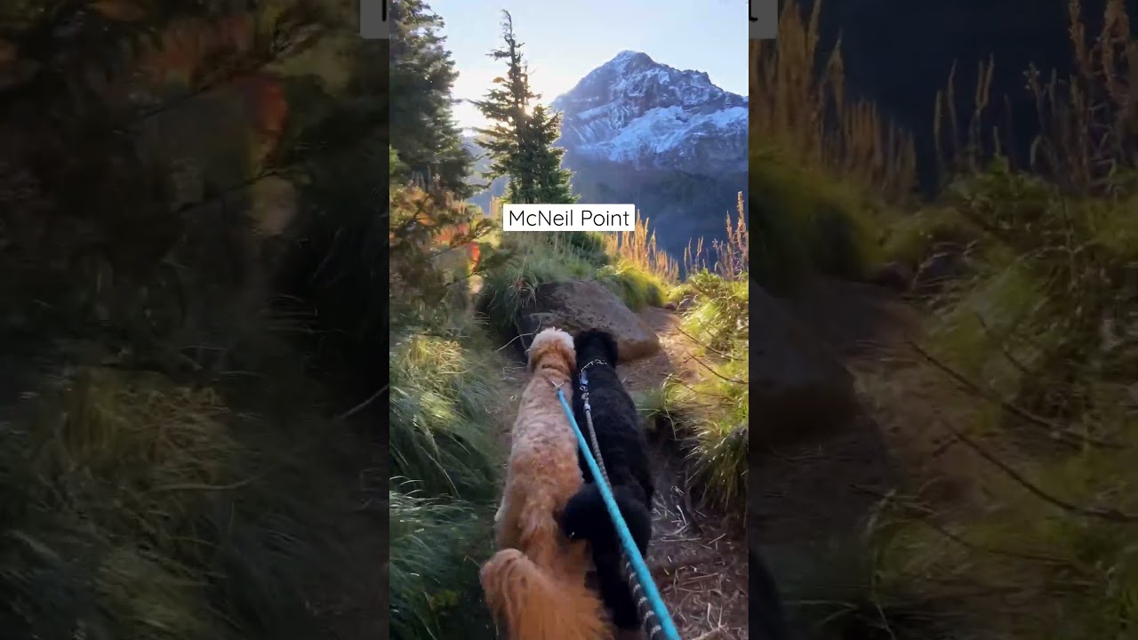 Bucket list hikes to do next time you are in Oregon! #oregon #hiking #pnw #travel #traveloregon