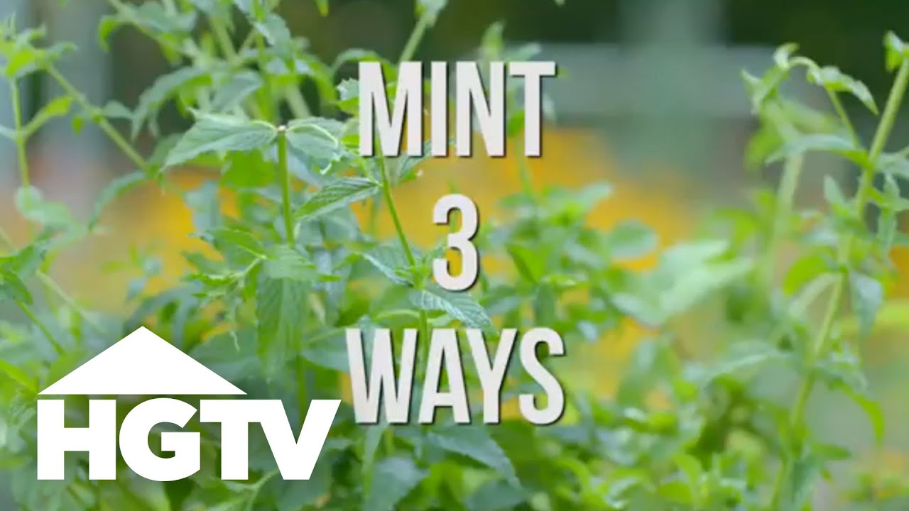 Easy Does It: 3 Ways to Use Mint | HGTV