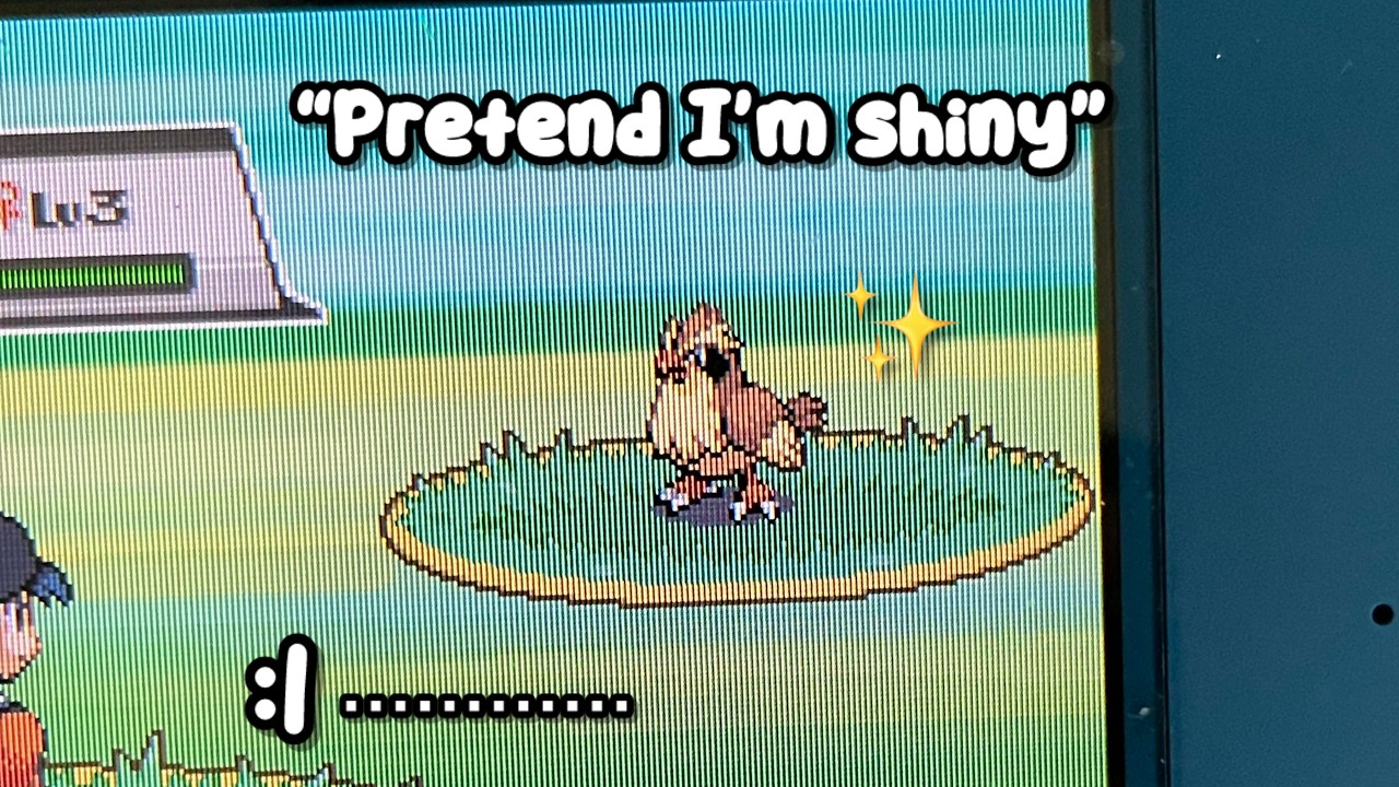 The Pidgey Disaster!....