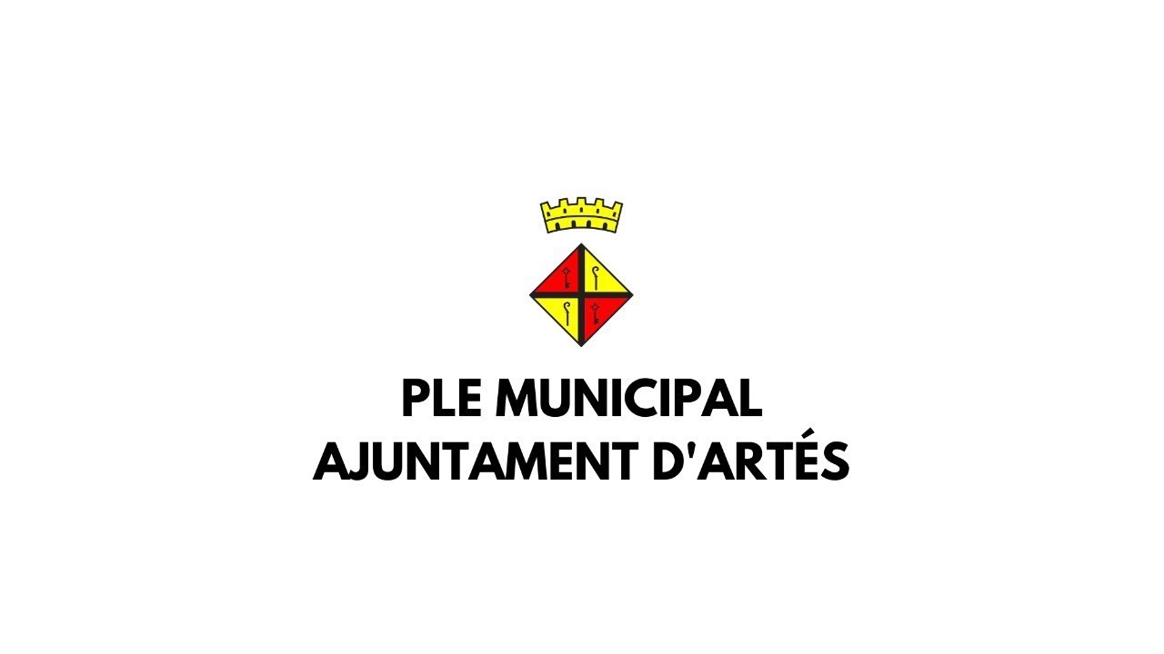 Ple Ordinari del 17 de juliol de 2025