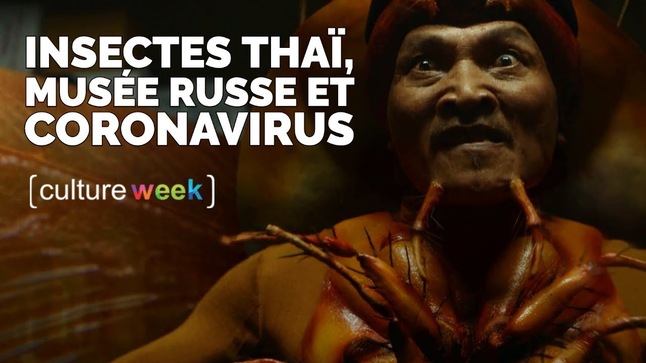 Culture Week #136 - Insectes Thaï, Musée Russe et Coronavirus