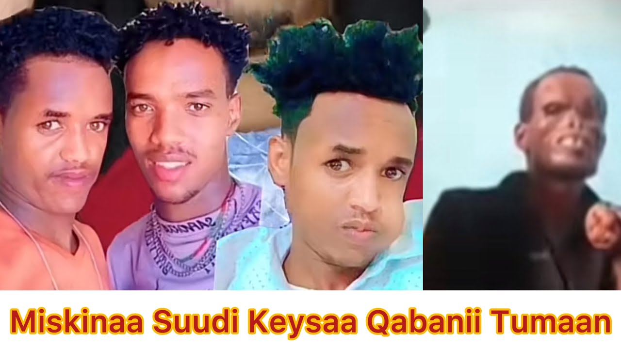 Jollee suudi kessattii qabanii mallaqa irraa fudhachuu jiran gaara jabenyaa irratti rawwatani