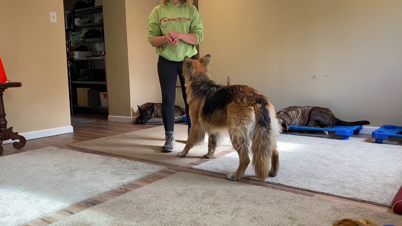 Teaching Teva orbit (good video for beginners)