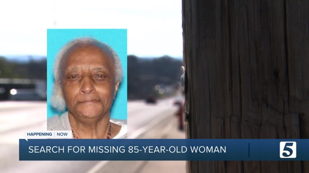 Family begs for help in search for missing 85-year-old woman