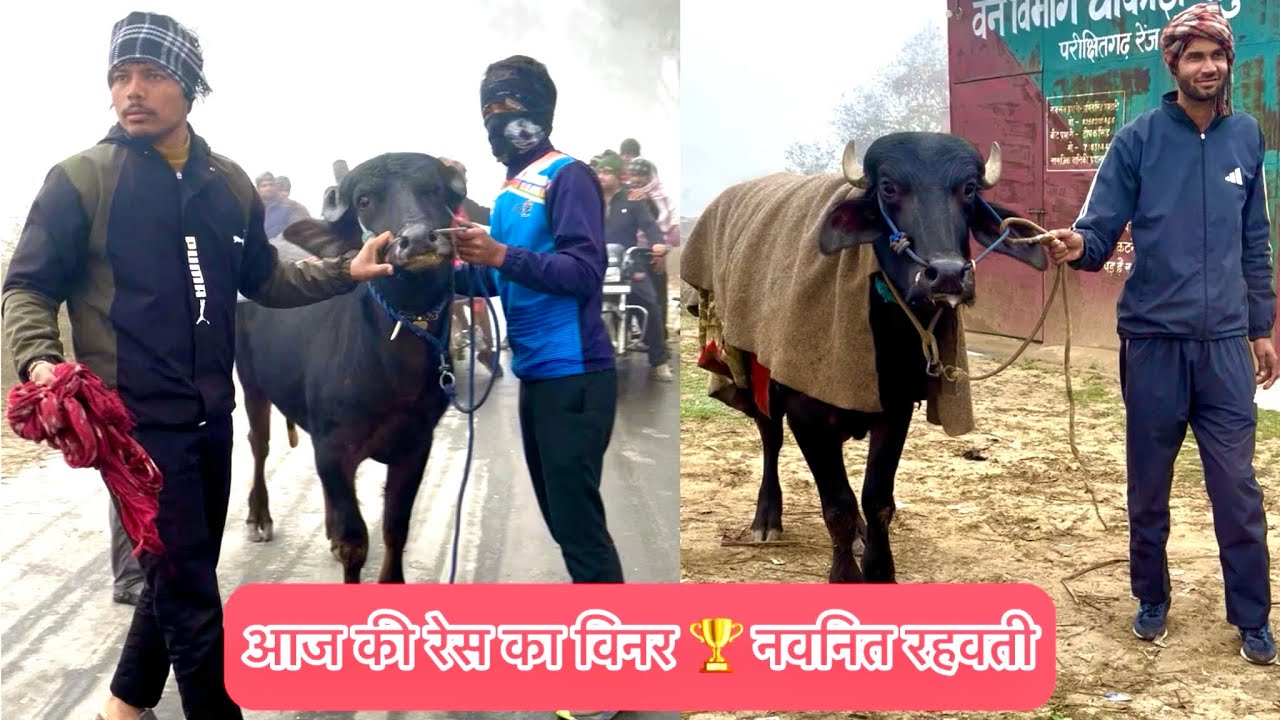आज की रेस का विनर🏆नवनित रहवती 🆚 हिमांशु अमरपुर 2580mtr मोहित माणकचौक ऑल टीम winner🥇