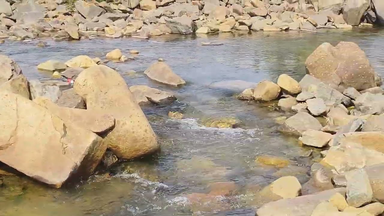 Kujju Nadi Chaibasa !! Kuju River Chaibasa, Jharkhand !! #chaibasavlog #chaibasa #ytshorts 