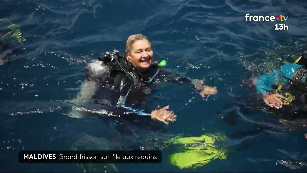 Maldives : grand frisson sur l'île aux requins