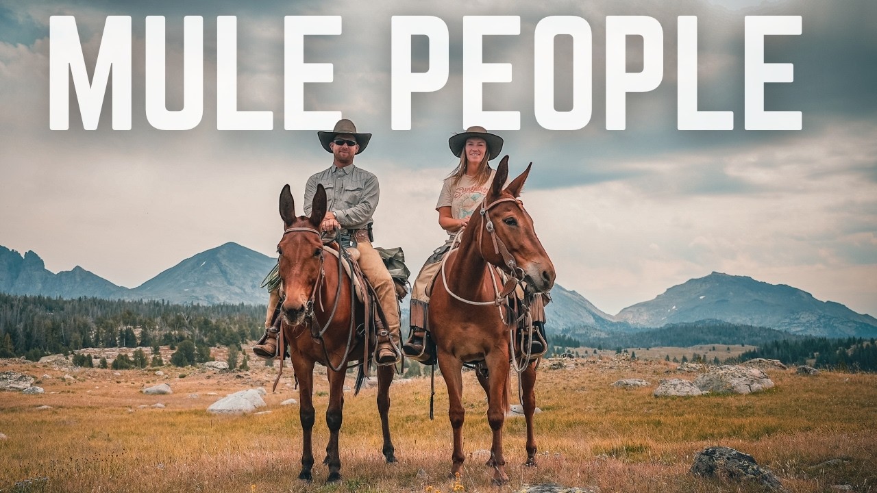 America's Most Influential Mule Trainers [Behind The Scenes Interview]