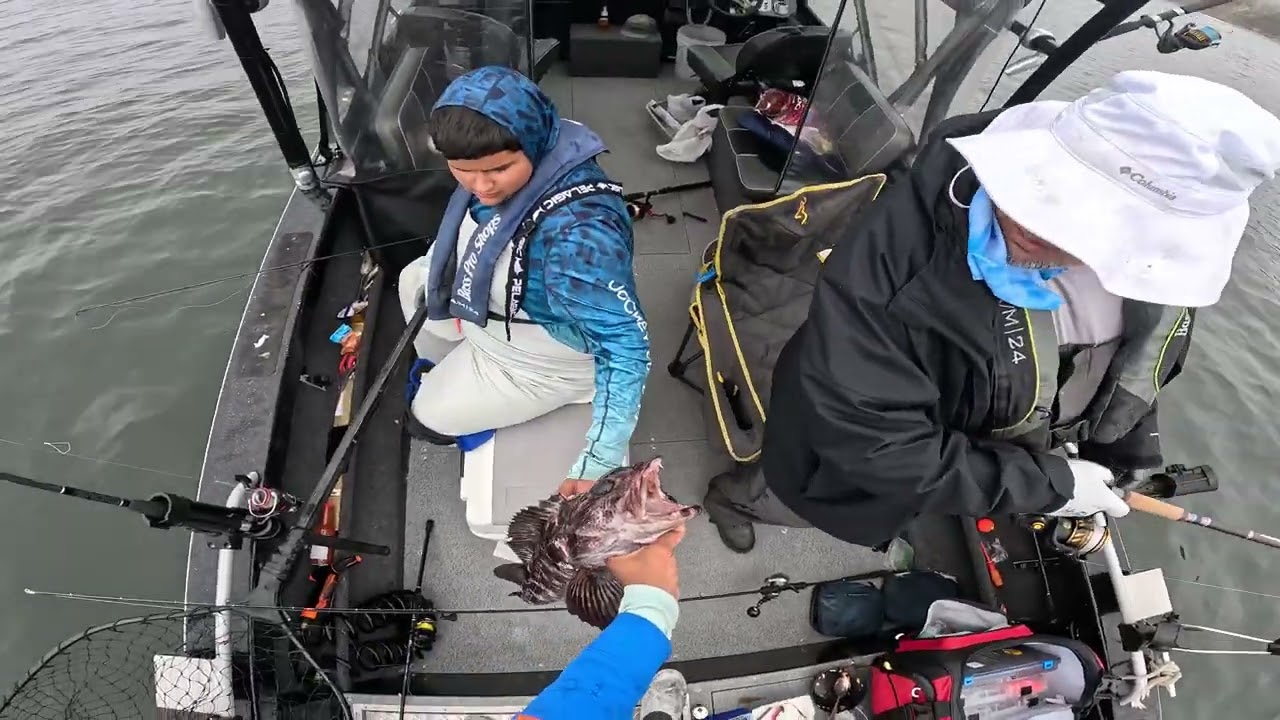 Back to back hook ups on LingCod
