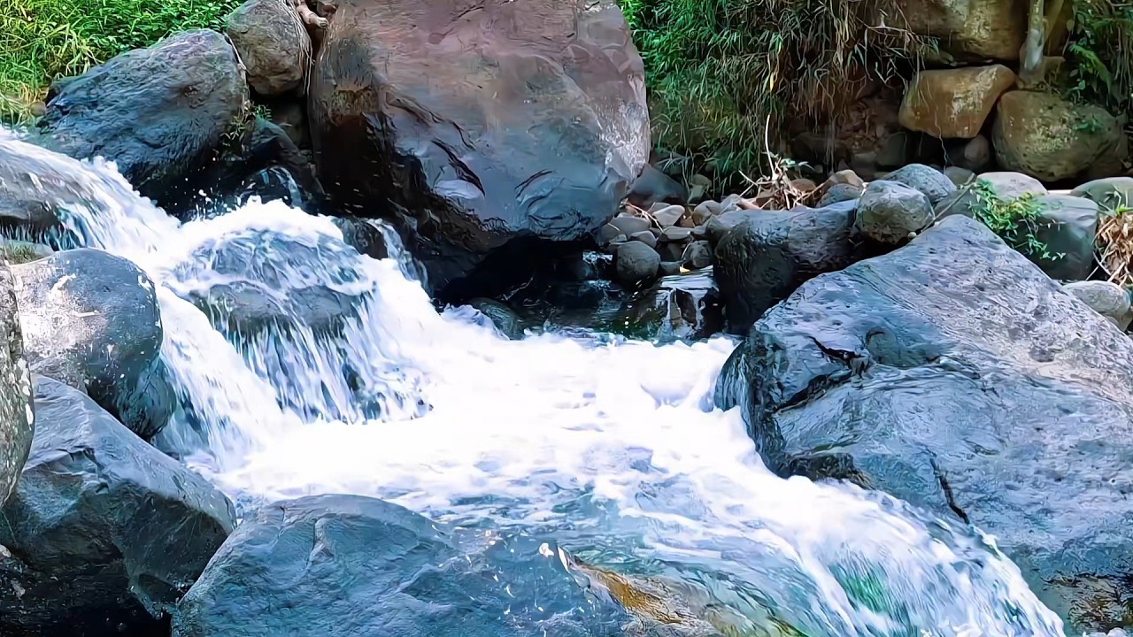 Calm River Sounds for Inner Balance