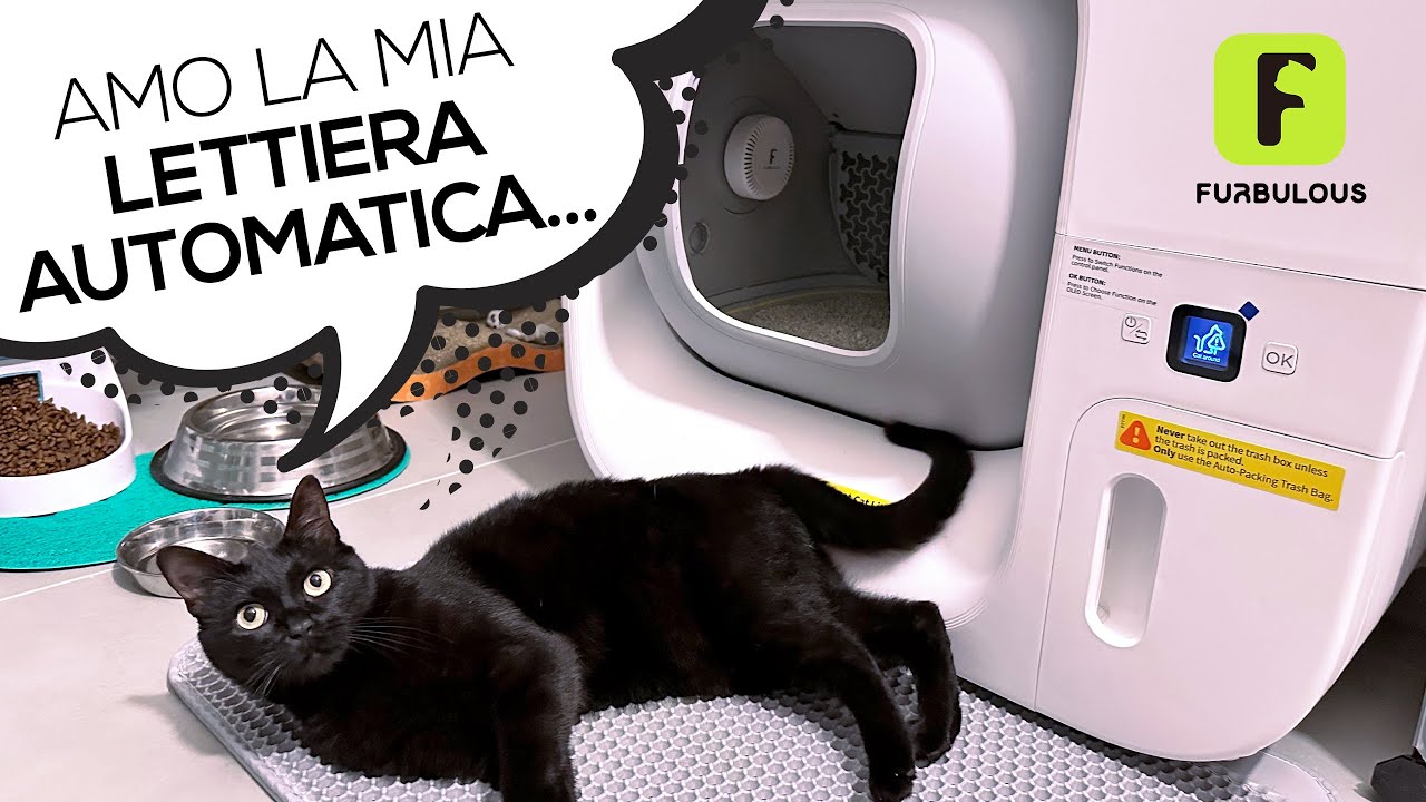 LETTIERA 🐈‍⬛ AUTOMATICA PER GATTI FURBULOUS | tutta la verità e funziona davvero? 🐈