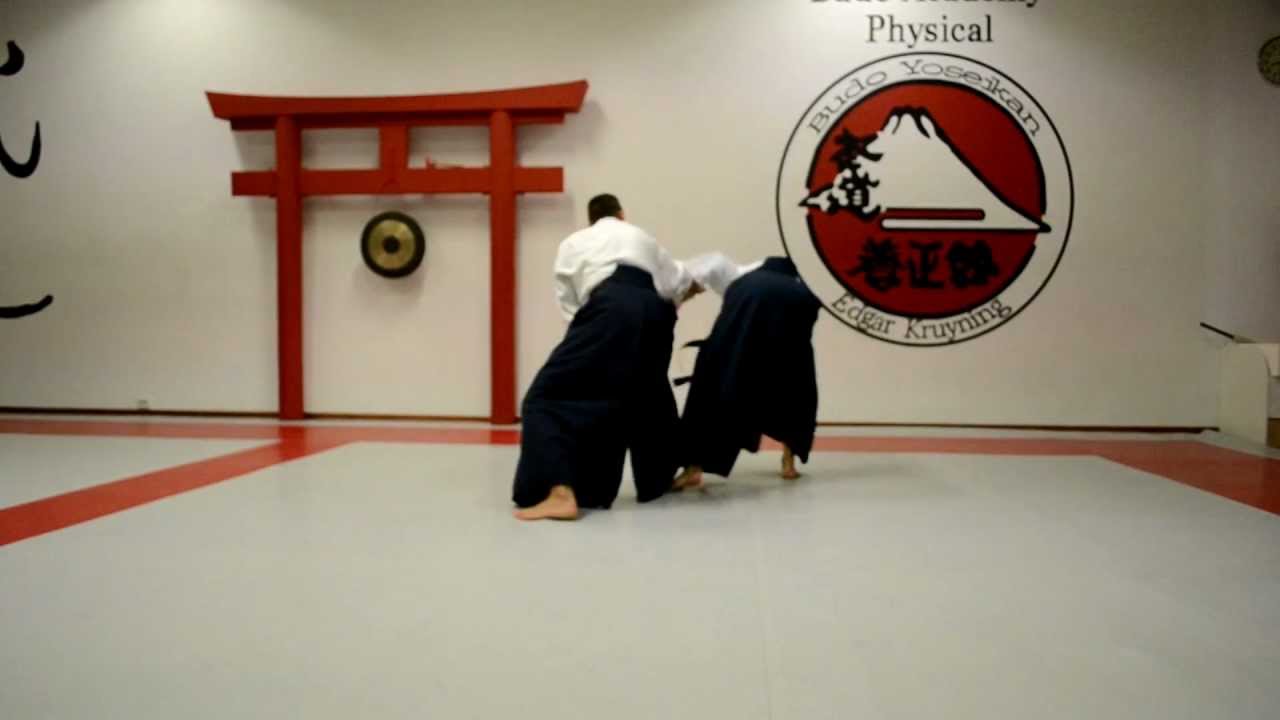 Yoseikan Aikido - Omote yoko men uchi series.MOV