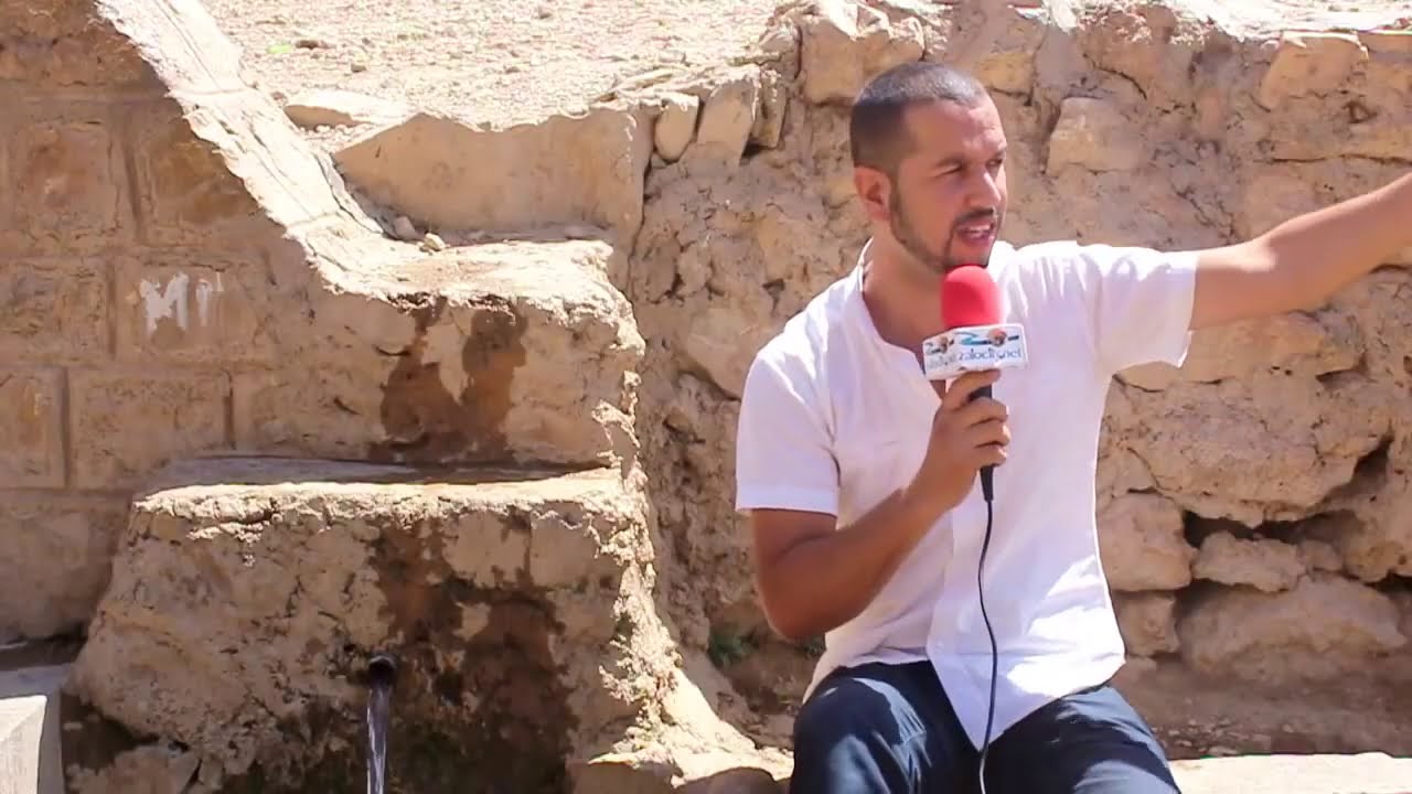زايو