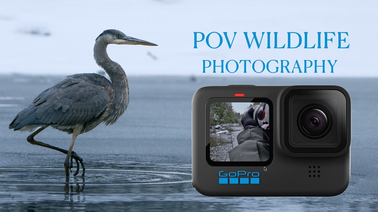 GoPro 11 Unboxing | POV Wildlife Photography