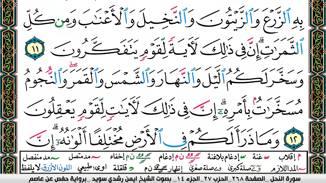 ايمن سويد  صفحة رقم     268