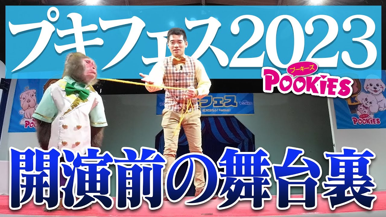 【プキフェス2023】開演前の出来事をお見せします。【会場づくり編】
