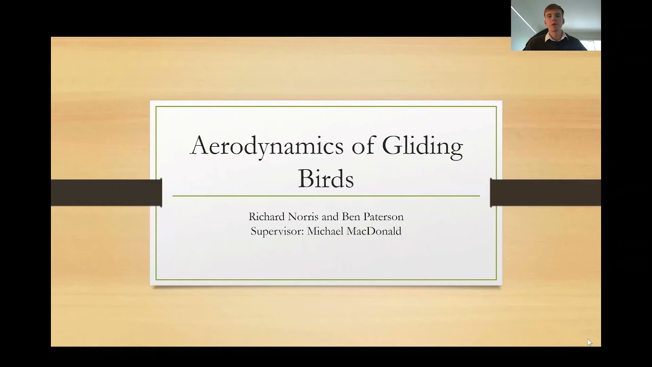 Project #18: Aerodynamics of Gliding Birds