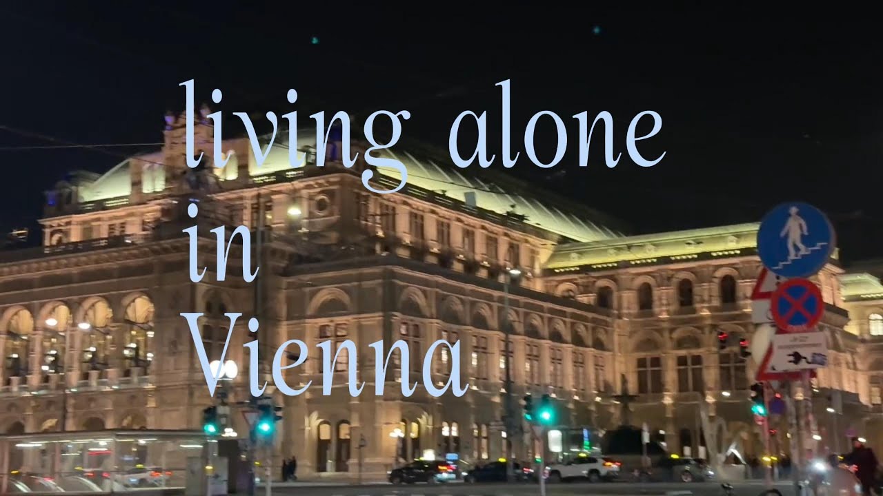 living alone in Vienna🇦🇹 visiting the Bezirkamt, fluffy clouds and beautiful buildings