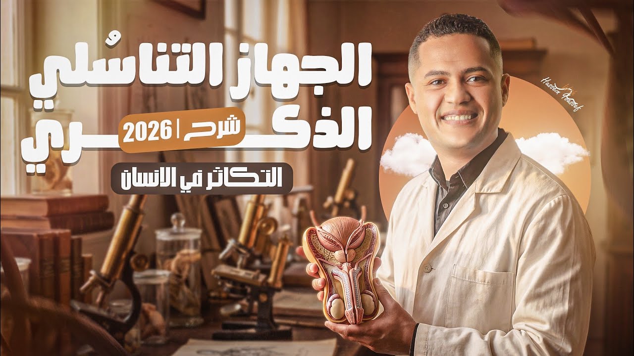 محاضره |8| فرم الجهاز التناسلي الذكري✅شرح من السنتر 2️⃣0️⃣2️⃣6️⃣ يا طبيبي🥼