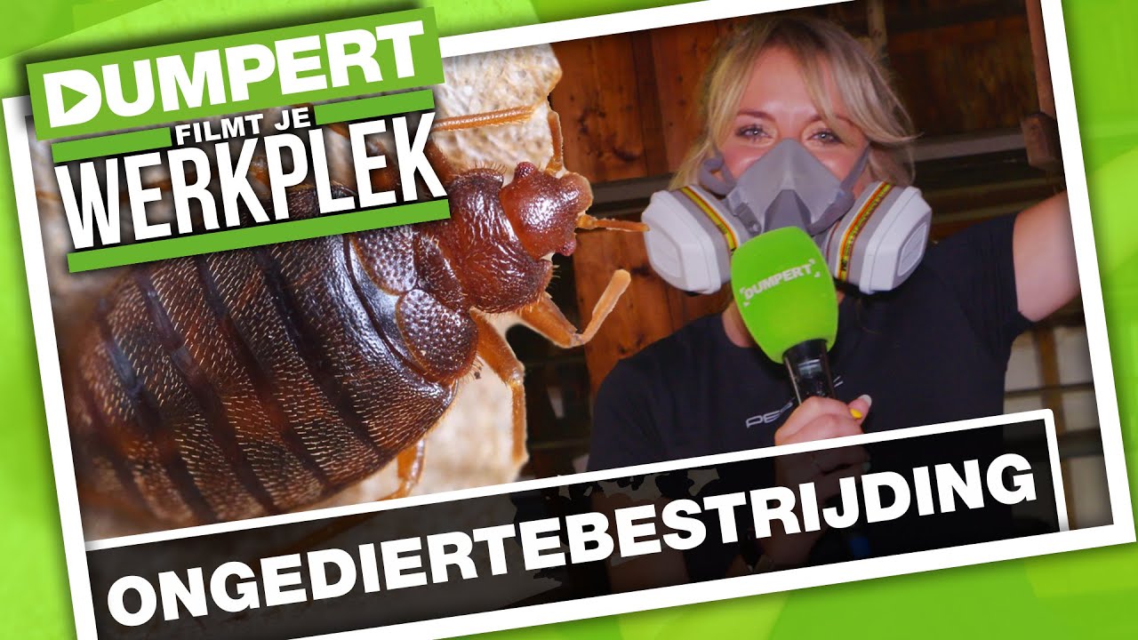 AAAH beestjes! Bel de ongediertebestrijding! | DFJW