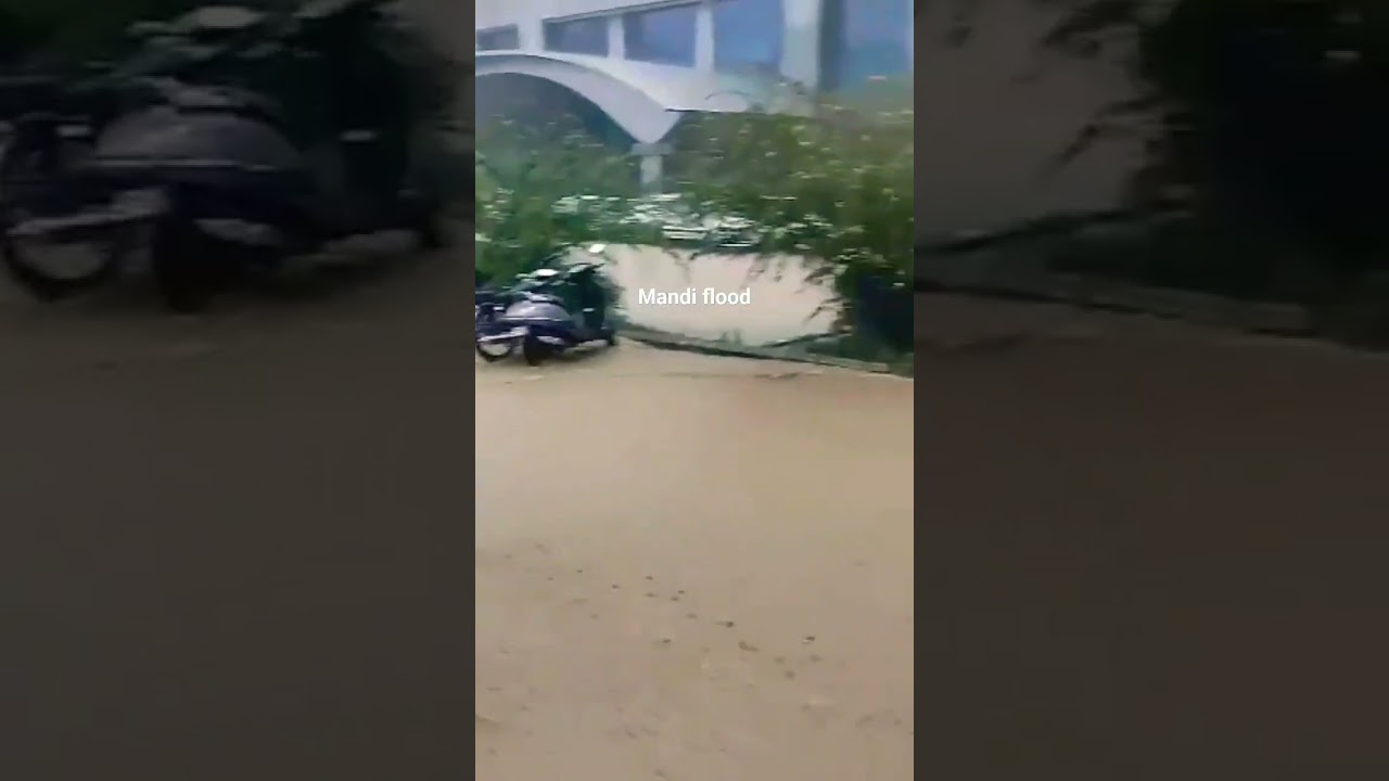mandi heavy rain damage due to cloudburst flash flood in mandi