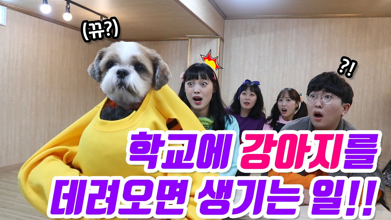 29화- 학교에 강아지를 몰래 데려오면 생기는 일!!(ft.까비콩이)