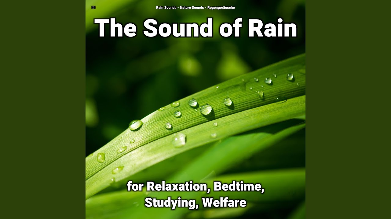 Rain Sounds for Studying