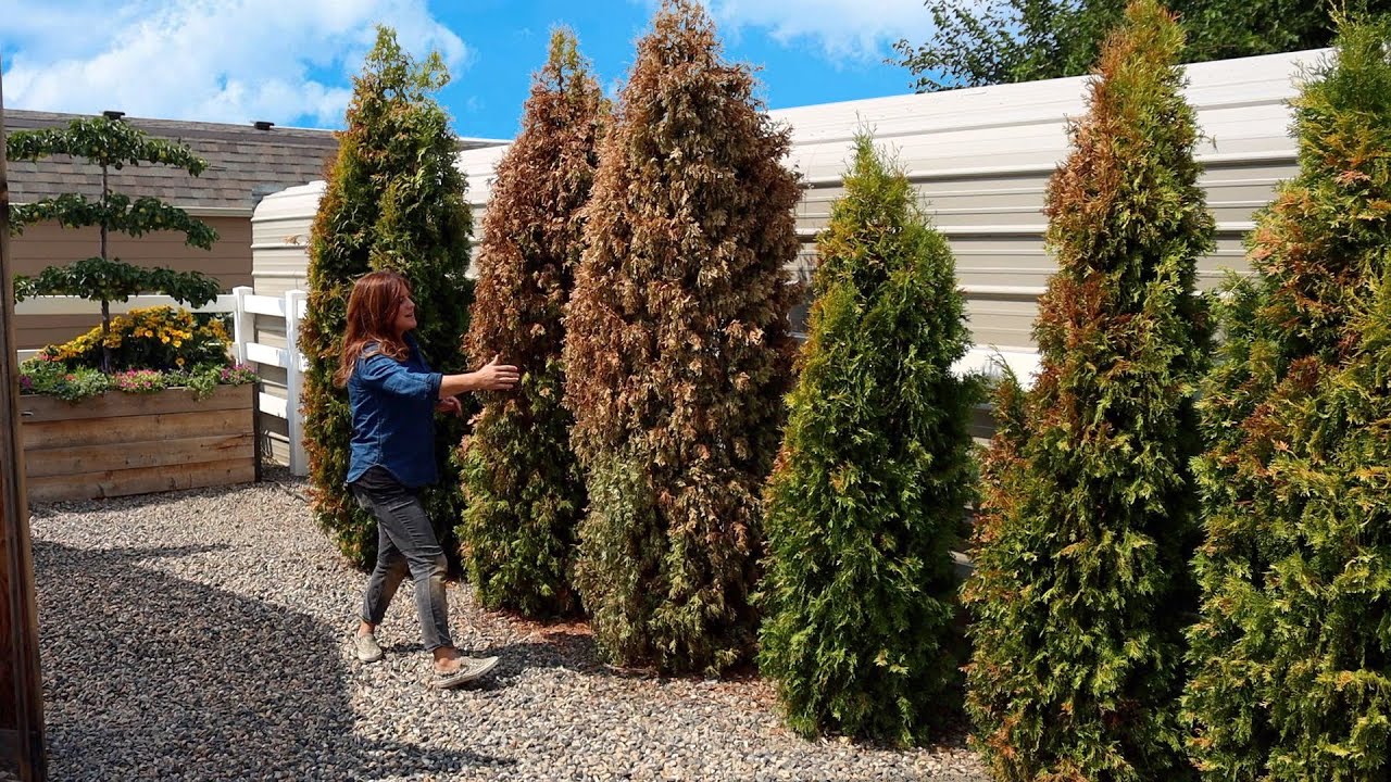 8 Garden Fails This Year! 🤦‍♀️🥴🤷‍♀️ // Garden Answer