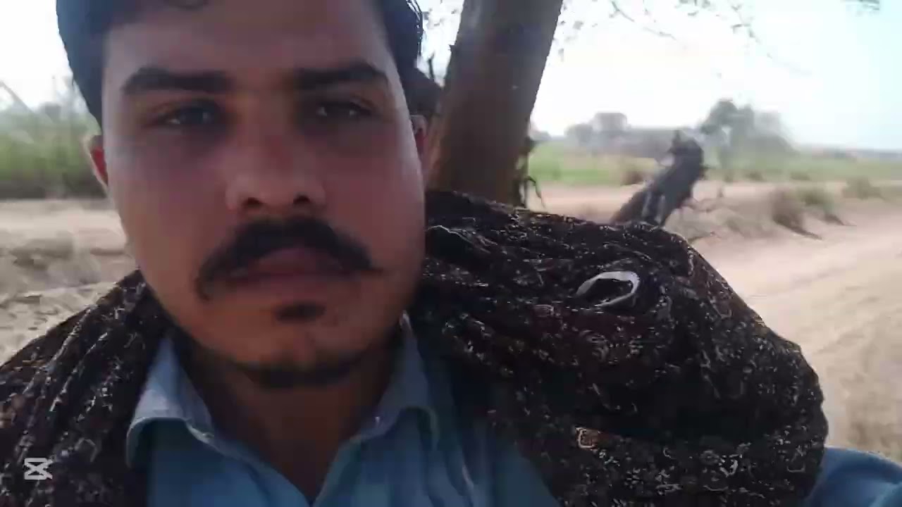 Nuruddin bhai cream wala aur amma ji inke ghar gaye the ham thanks cream wala bhai