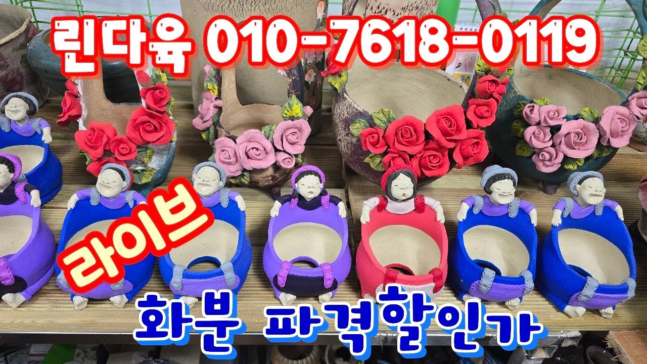 💥[2월 3일 라이브] 린다육 010-7618-0119(카드가능) 화분파격할인~♡