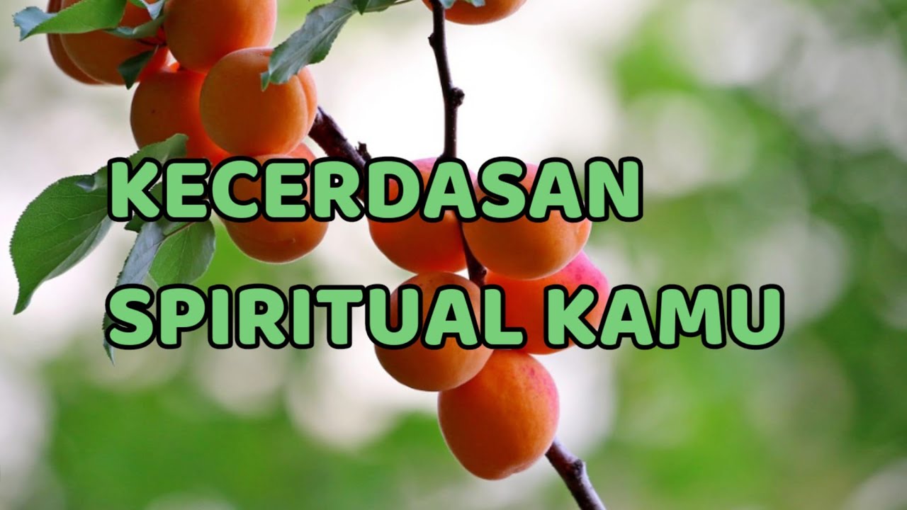 🎆 KECERDASAN SPIRITUAL KAMU 🎆