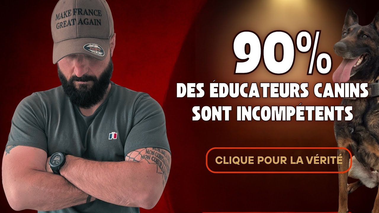 90% des éducateurs canins sont INCOMPÉTENTS