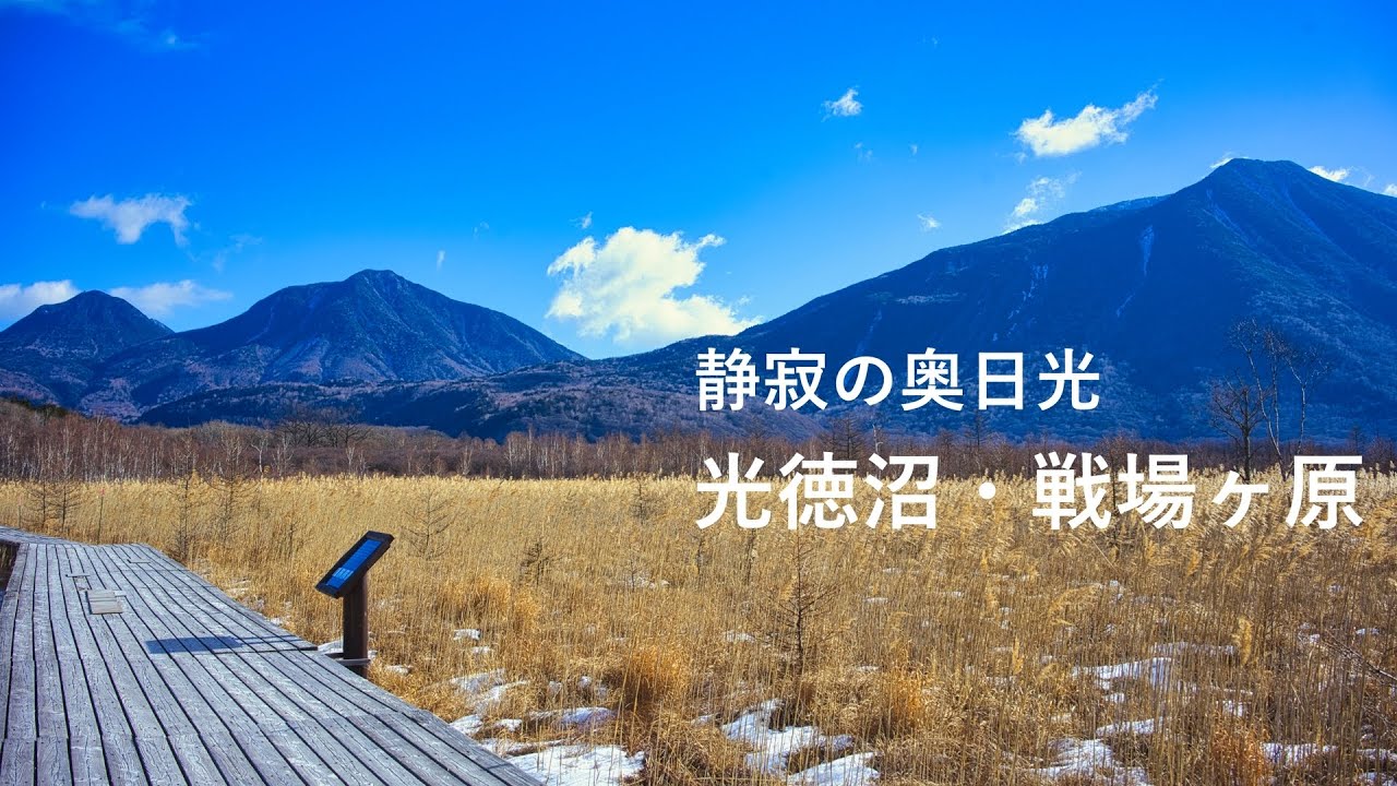 【奥日光】4K 癒しの空間 光徳沼〜戦場ヶ原 冬ならではの静かな山歩き！