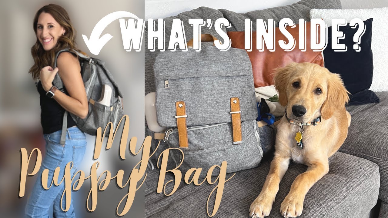 Puppy Bag Essentials | Everything you should put in your puppy's travel bag