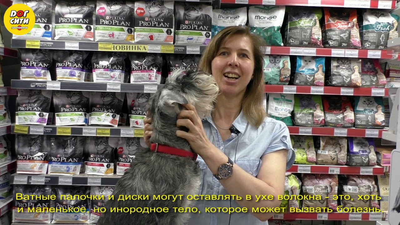 Как ухаживать за собачьими ушами