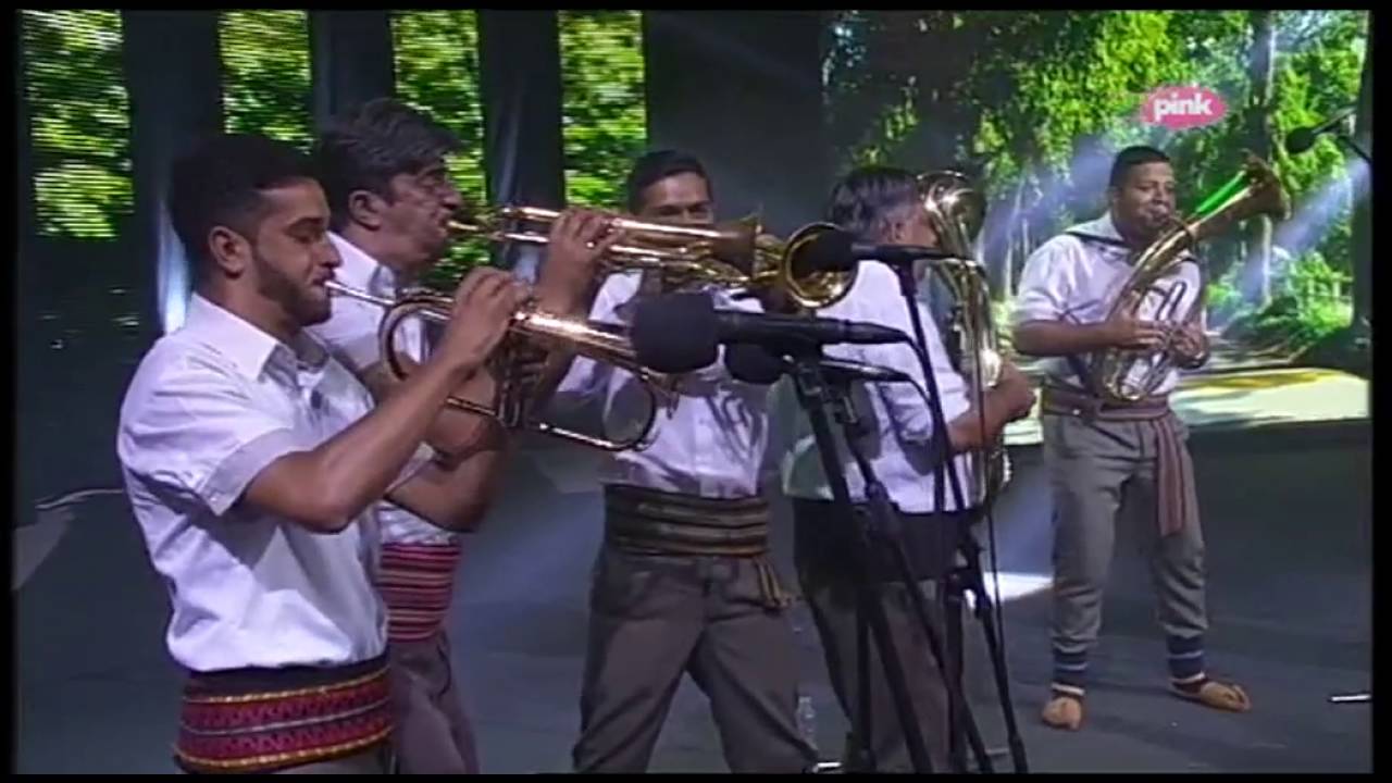 Orkestar Sinise Stankovica Guca 2016