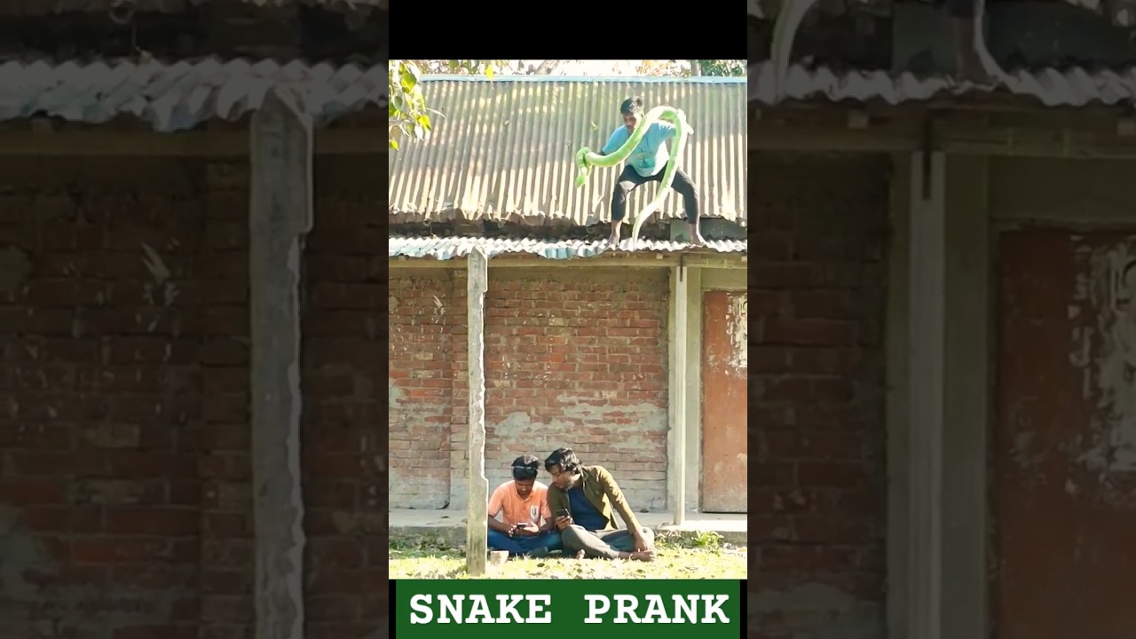 Snake Prank🐍King Cobra Snake Prank 