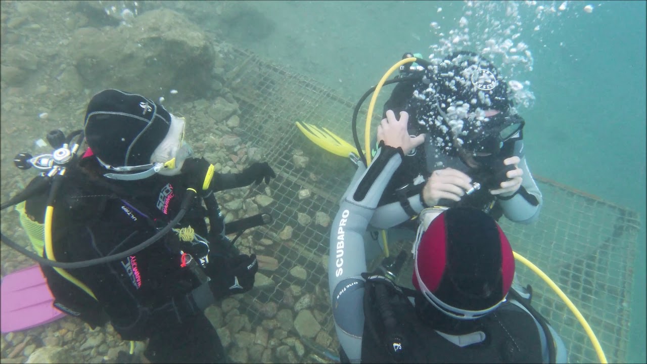 Immersioni di fine corso sub Open Water Diver - Diving Line ASD