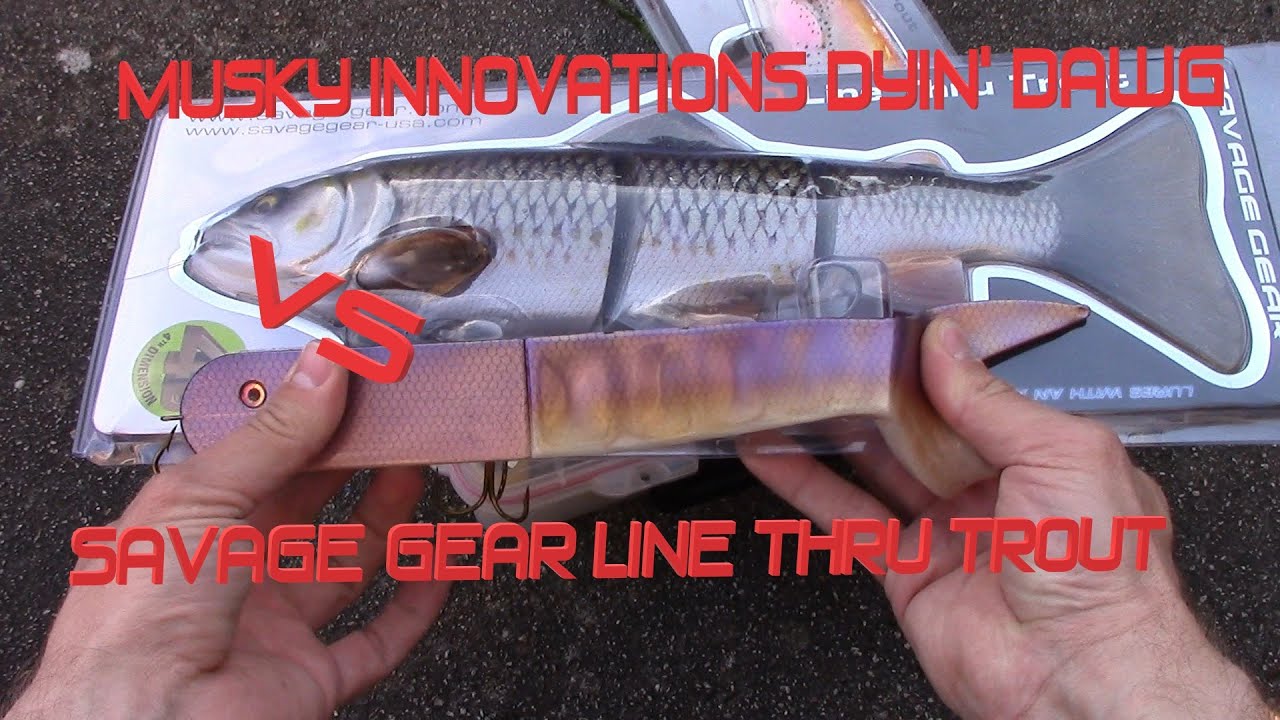 Musky Innovations Dyin' Dawg VS Savage Gear 4D Line Thru Trout