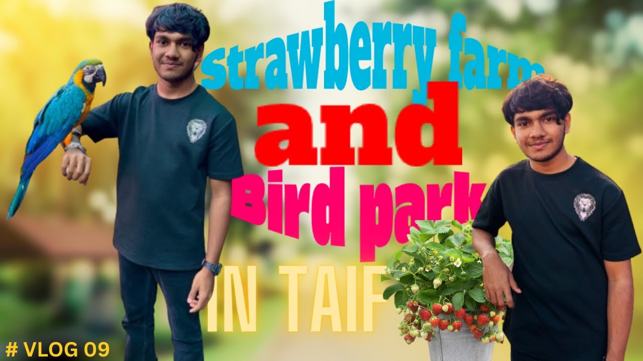 TAIF ගිහින් strawberry කැඩුවා , මාළු බැලුවා, කුරුල්ලො ඇල්ලුවා යාලුවේ. #vlog09  part01