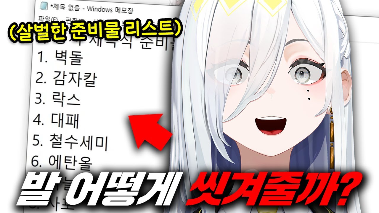 벽돌로 씻겨준다는 싸이코패스 버튜버 ㄷㄷ