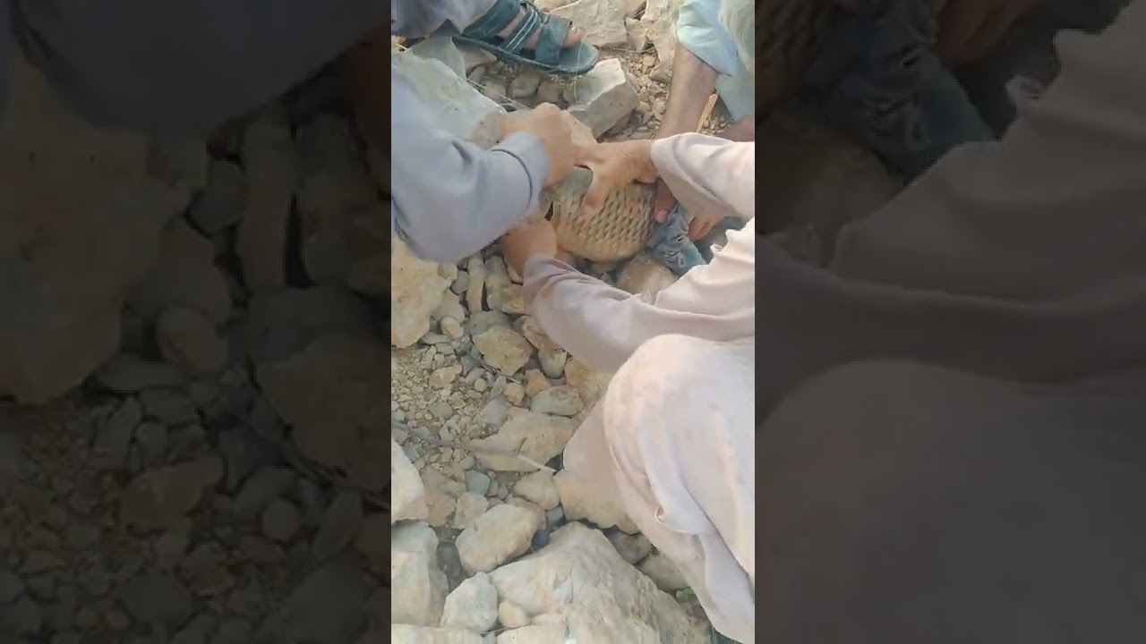 kohat ..gandyali dim me fish ka shikar