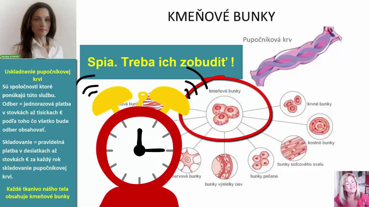 Kmeňov&eacute; bunky
