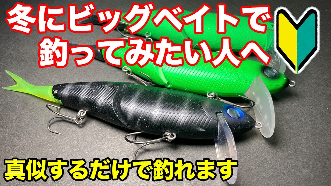 冬にビッグベイトでデカバスを釣るなら！巻くだけで釣れるネコソギDSR！セッティングと使い方【バス釣り】