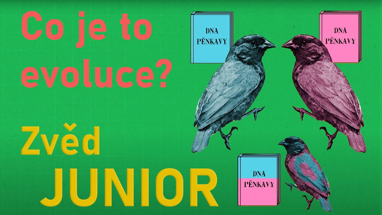 Co je to evoluce? | Zvěd Junior S02E01