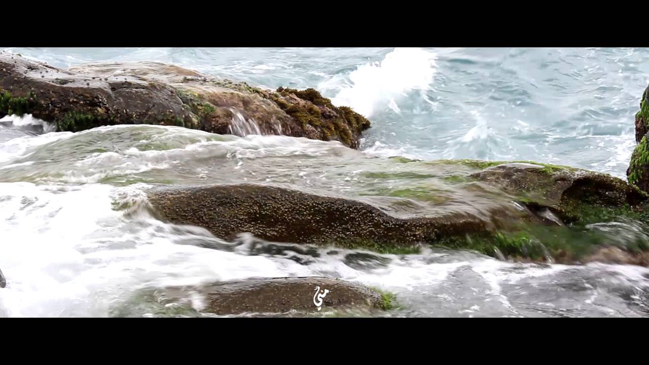 VIEUX PORT DE DELLYS | HD