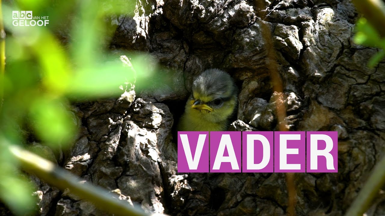 Vader | ABC van het geloof