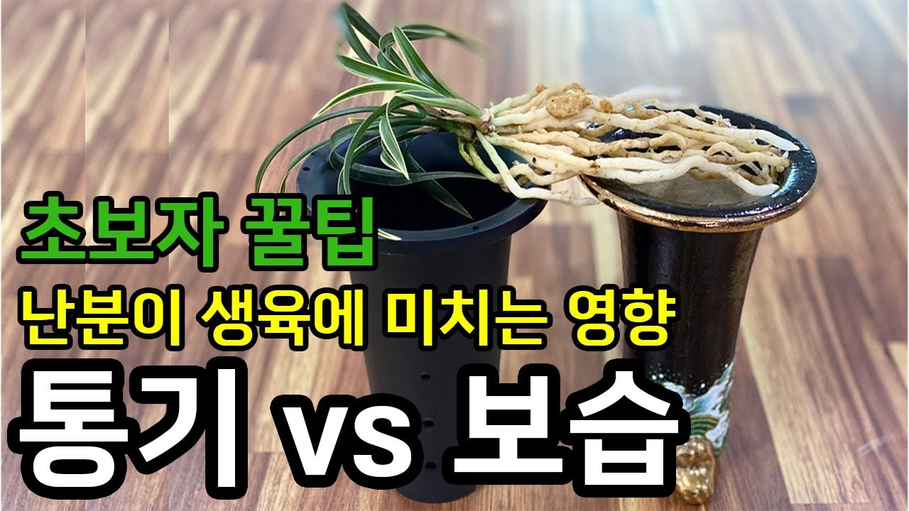 29편 난분 그것이 알고싶다   [춘란,명장,다육,난초,낚시,약초,풍란,주식,재테크]